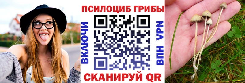 Псилоцибиновые грибы Cubensis  Черепаново 